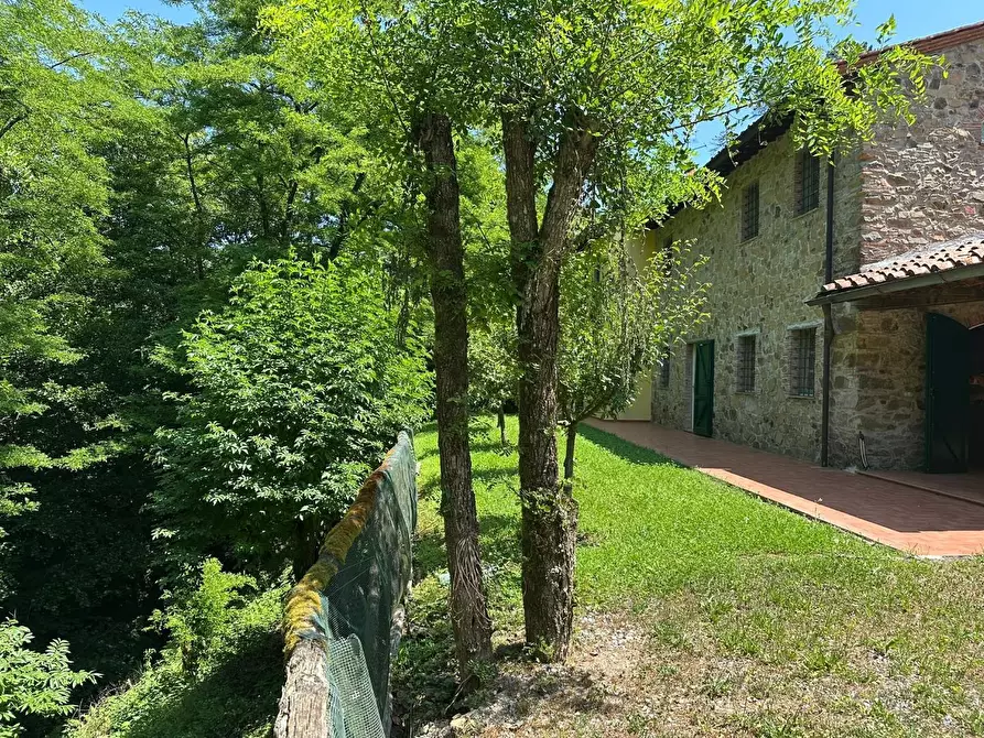 Immagine 39 di Rustico / casale in vendita  a Camaiore