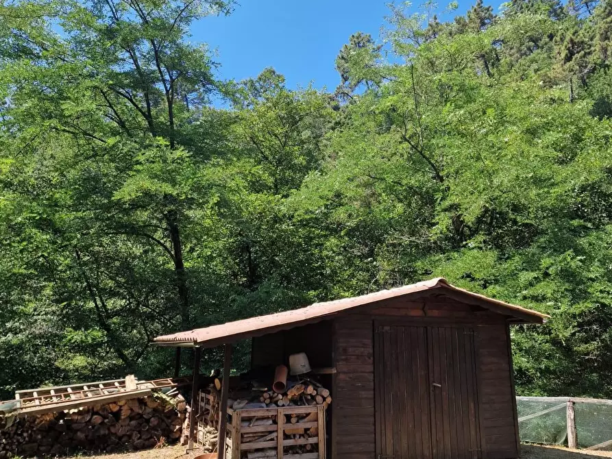 Immagine 31 di Rustico / casale in vendita  a Camaiore