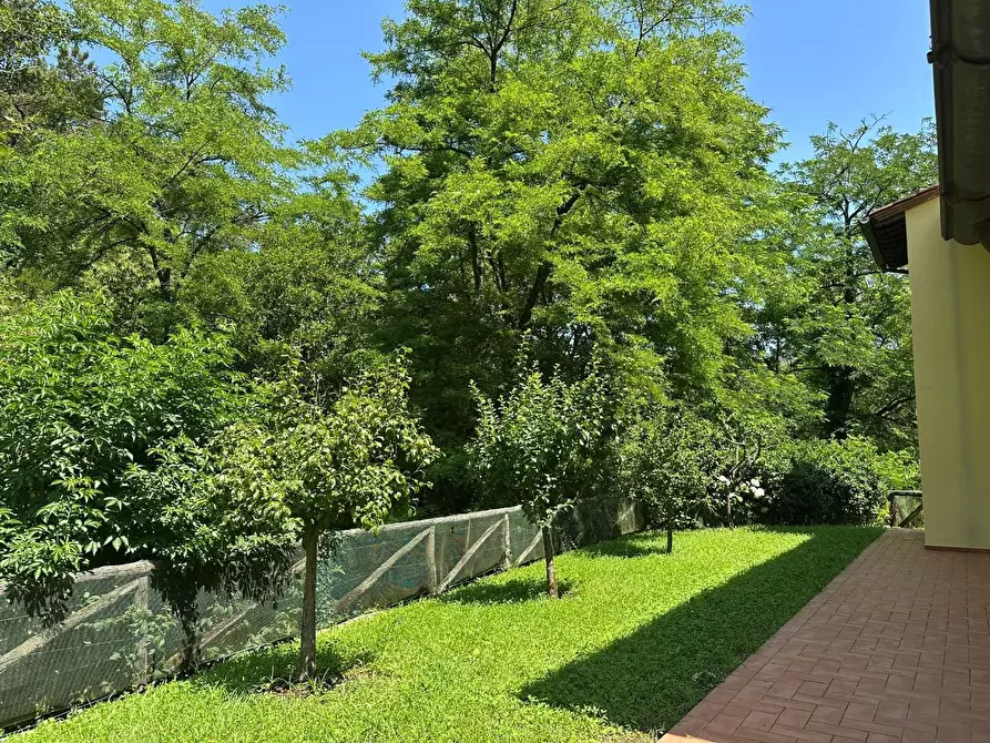 Immagine 2 di Rustico / casale in vendita  a Camaiore