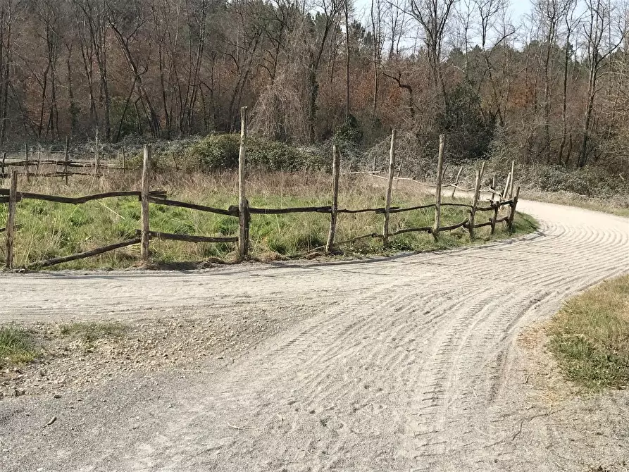 Immagine 3 di Terreno agricolo in vendita  a Fucecchio