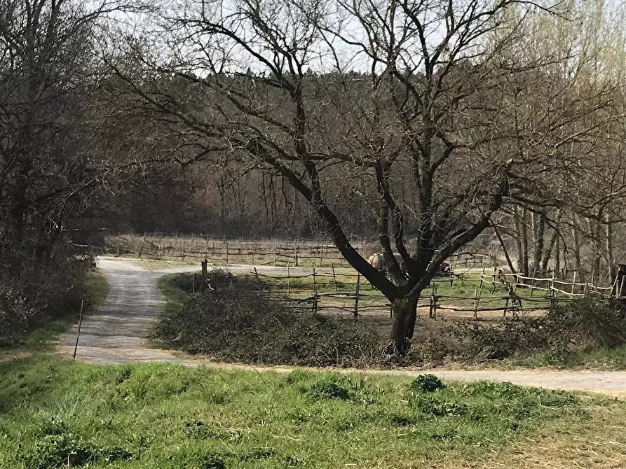 Immagine 2 di Terreno agricolo in vendita  a Fucecchio