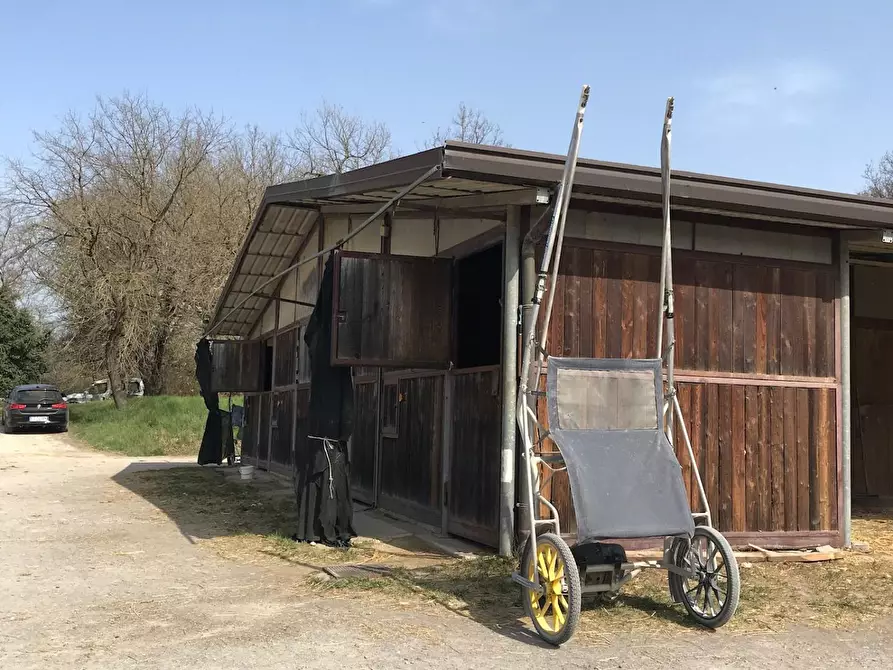 Immagine 6 di Terreno agricolo in vendita  a Fucecchio