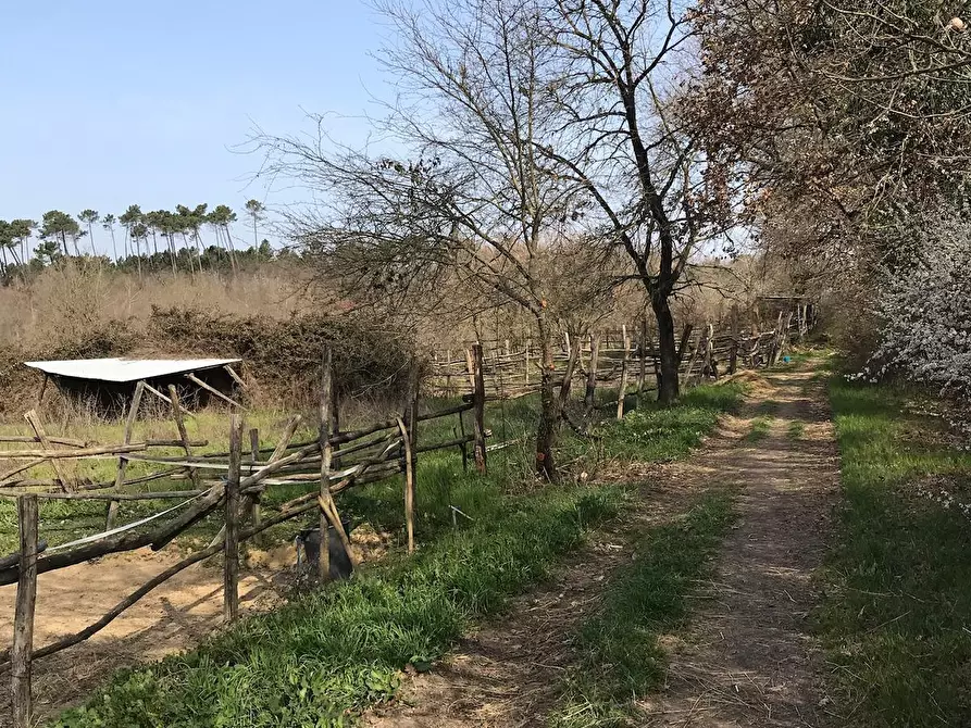 Immagine 11 di Terreno agricolo in vendita  a Fucecchio