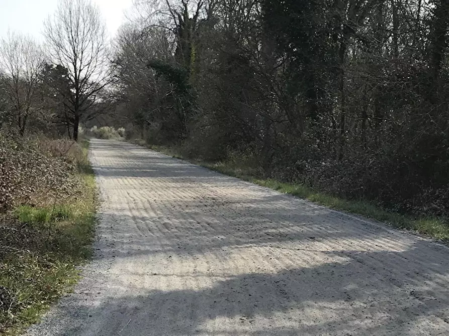 Immagine 9 di Terreno agricolo in vendita  a Fucecchio