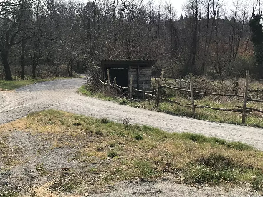 Immagine 7 di Terreno agricolo in vendita  a Fucecchio