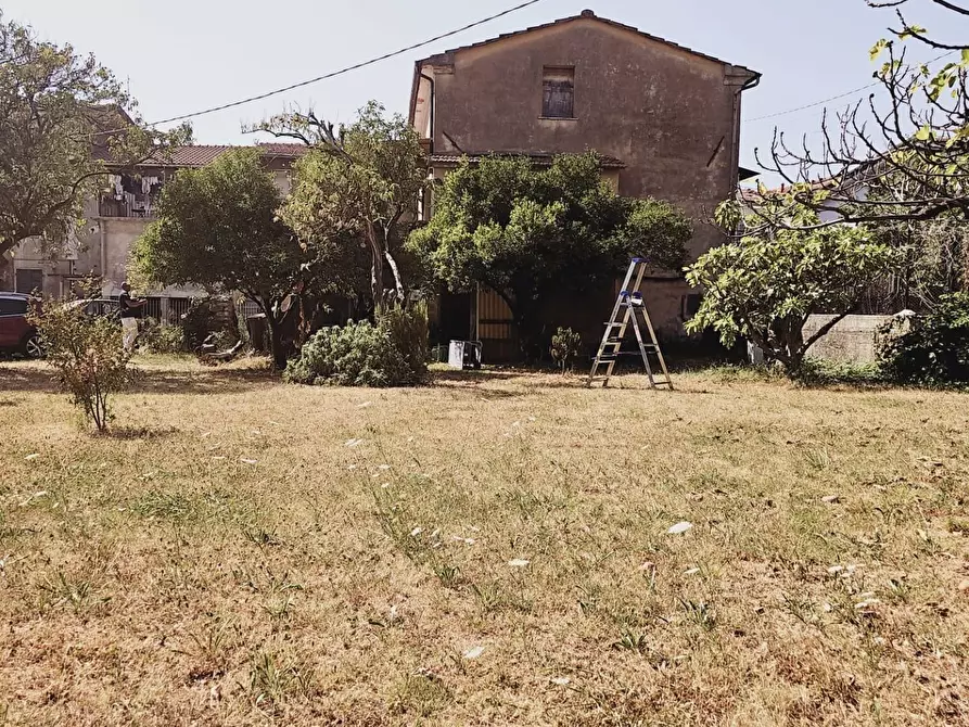 Immagine 3 di Terratetto in vendita  a Massa