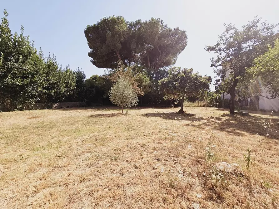 Immagine 22 di Terratetto in vendita  a Massa