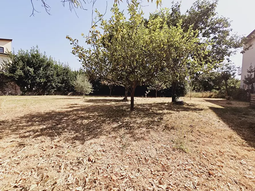 Immagine 21 di Terratetto in vendita  a Massa