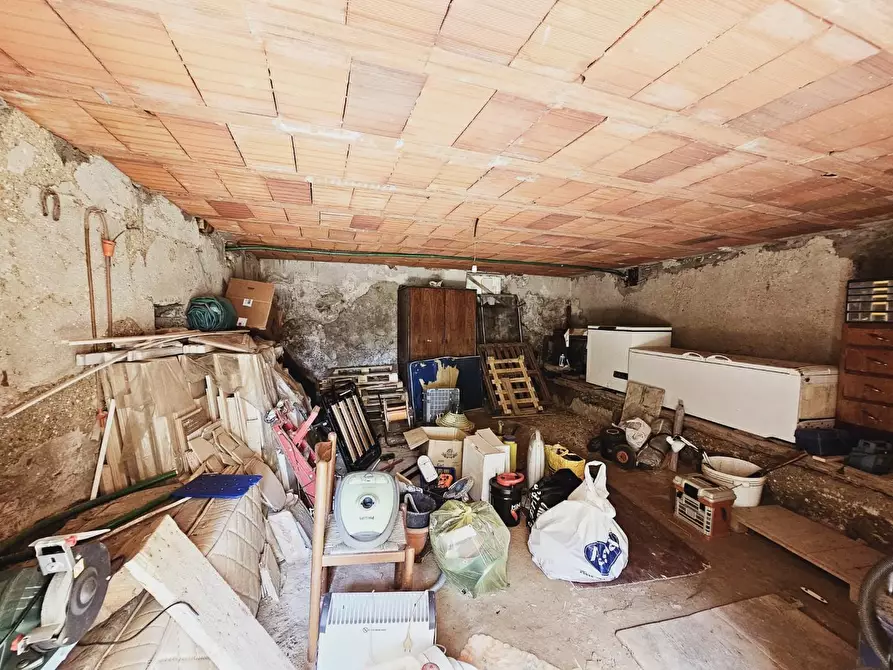 Immagine 18 di Terratetto in vendita  a Massa