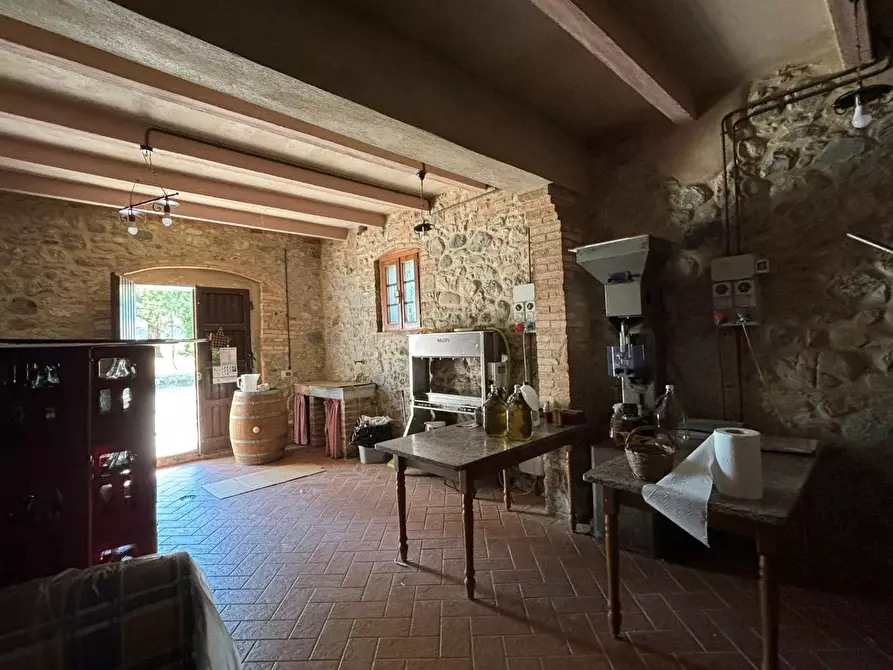 Immagine 2 di Azienda agricola in vendita  a Chianni