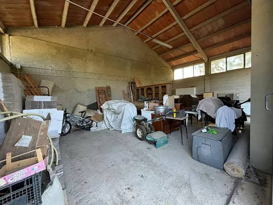 Immagine 8 di Azienda agricola in vendita  a Chianni