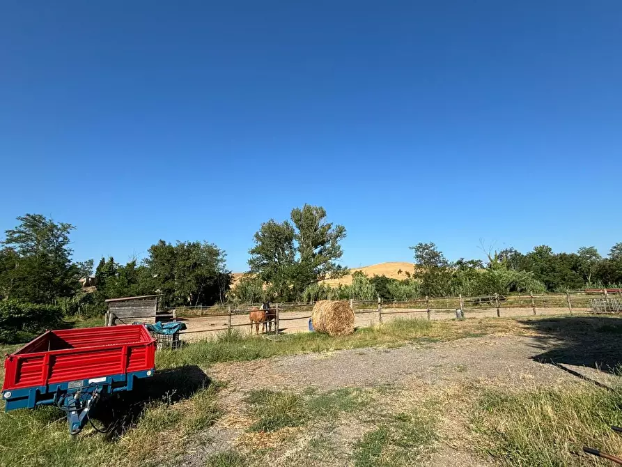 Immagine 7 di Azienda agricola in vendita  a Chianni