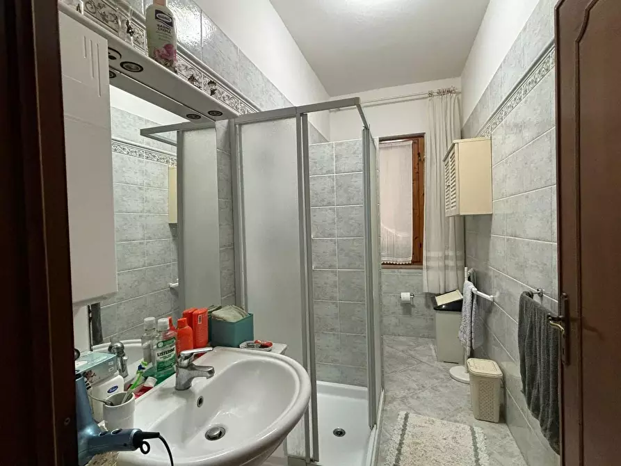 Immagine 20 di Azienda agricola in vendita  a Chianni