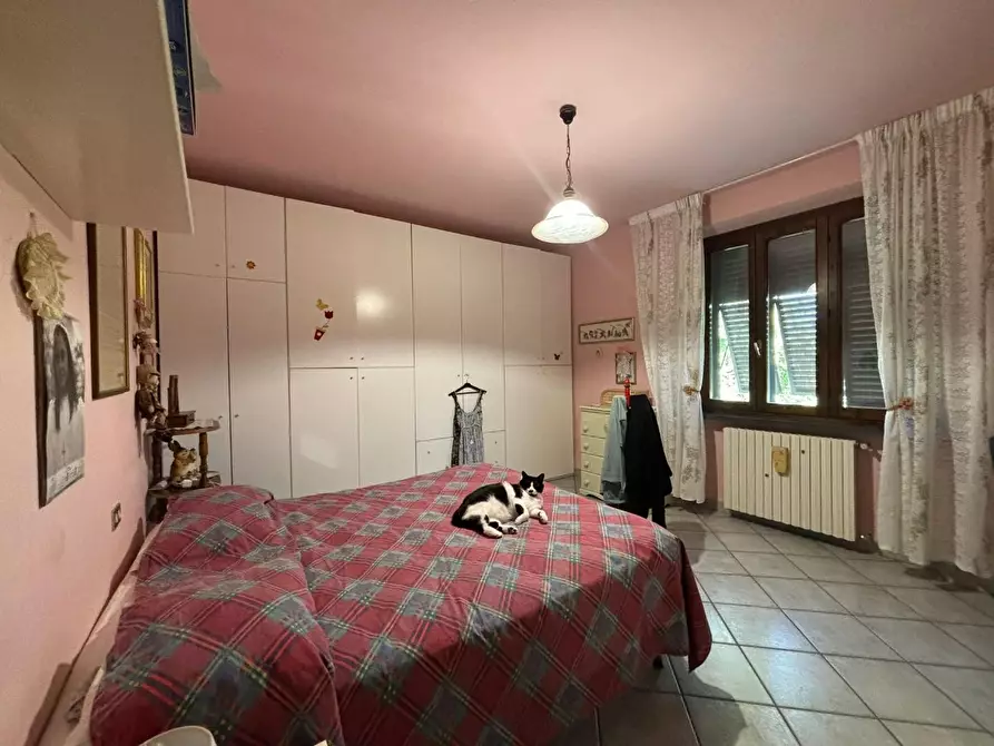 Immagine 16 di Azienda agricola in vendita  a Chianni