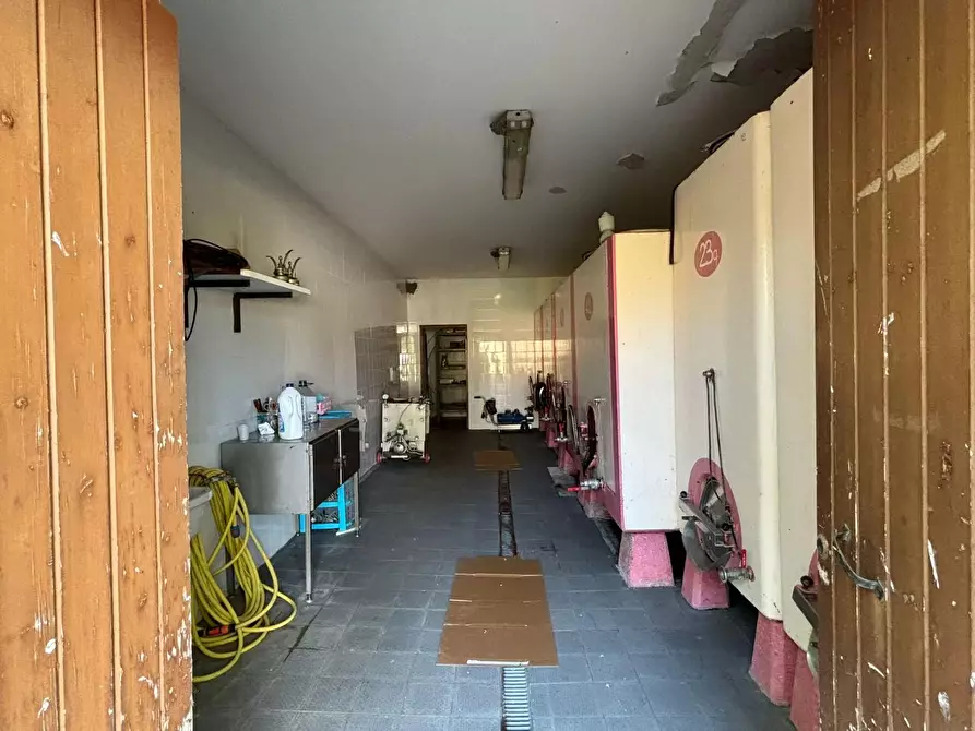 Immagine 10 di Azienda agricola in vendita  a Chianni