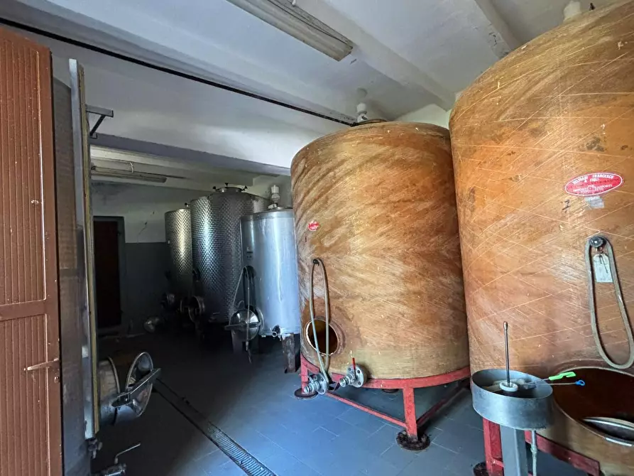 Immagine 4 di Azienda agricola in vendita  a Chianni