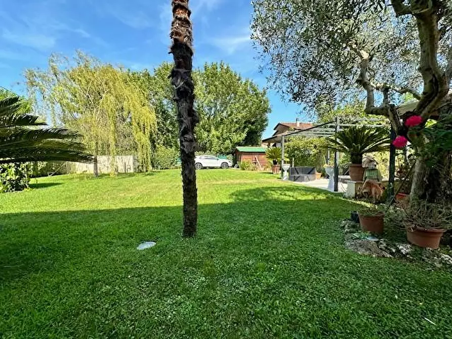 Immagine 4 di Casa trifamiliare in vendita  a Camaiore