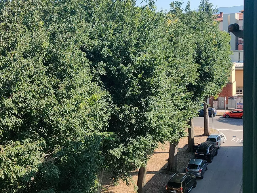 Immagine 16 di Appartamento in vendita  a Lucca