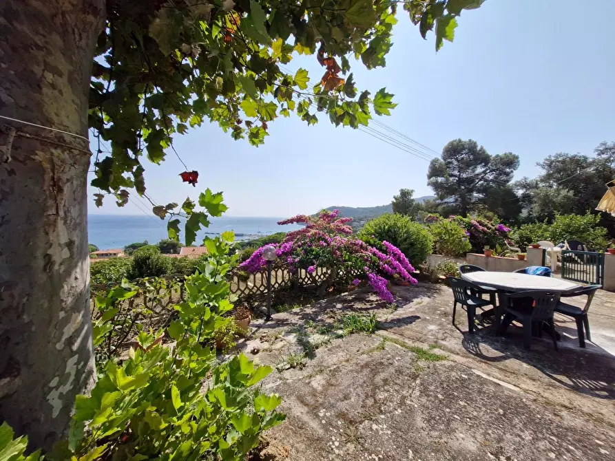 Immagine 3 di Casa bifamiliare in vendita  a Rio Marina