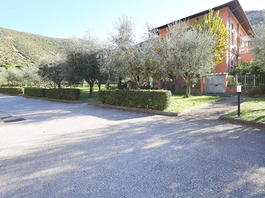 Immagine 23 di Appartamento in vendita  a San Giuliano Terme