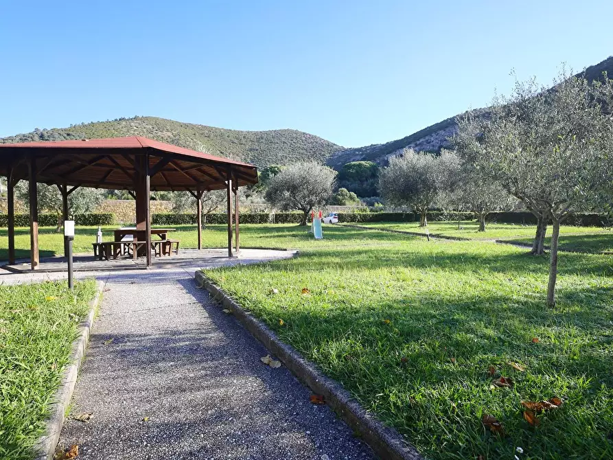 Immagine 25 di Appartamento in vendita  a San Giuliano Terme