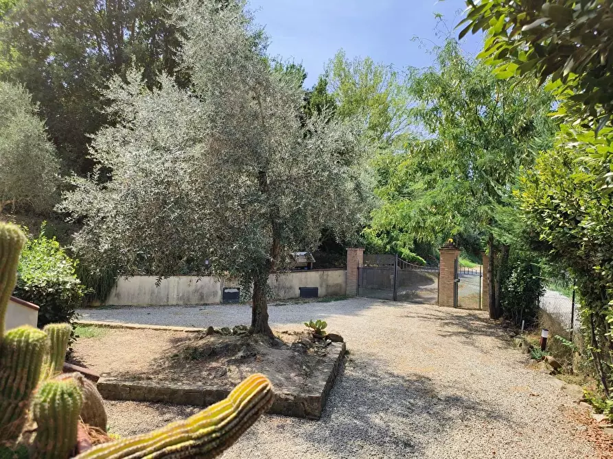 Immagine 21 di Villa in vendita  a Castelfiorentino