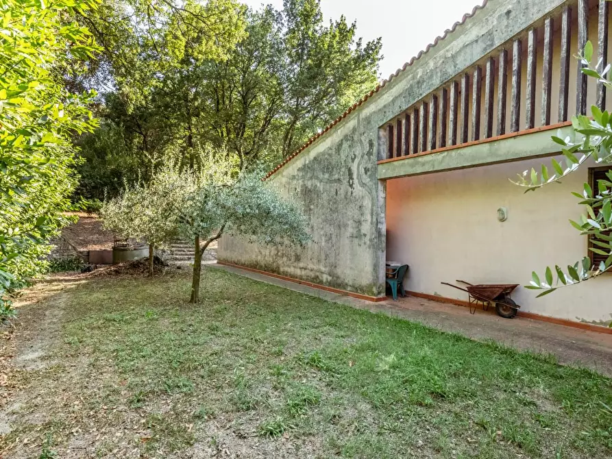 Immagine 52 di Villa in vendita  a Vicopisano