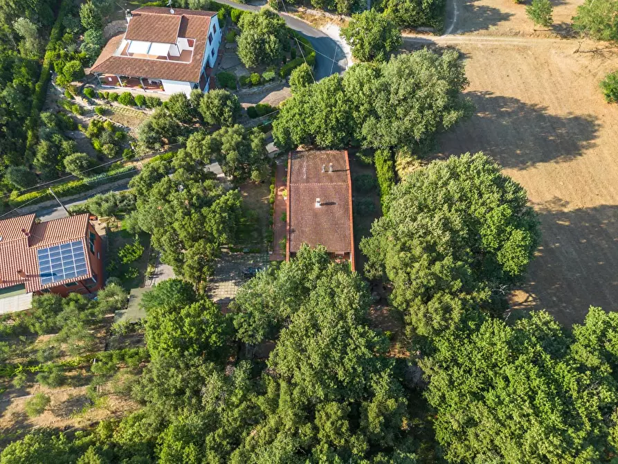 Immagine 65 di Villa in vendita  a Vicopisano