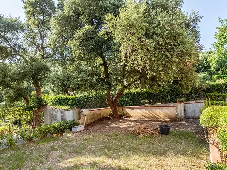 Immagine 48 di Villa in vendita  a Vicopisano
