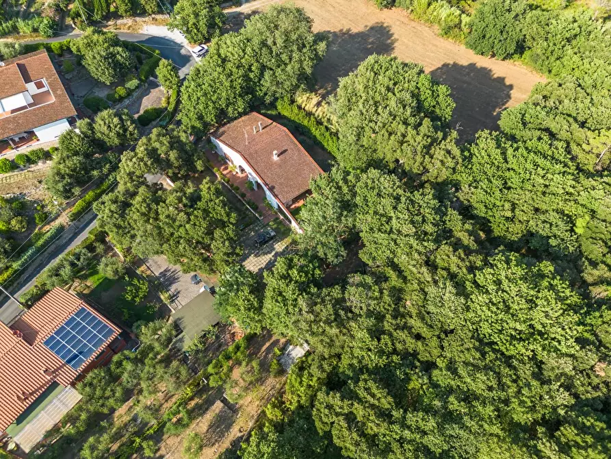 Immagine 14 di Villa in vendita  a Vicopisano