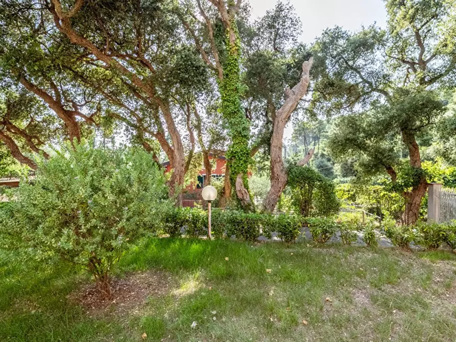 Immagine 46 di Villa in vendita  a Vicopisano