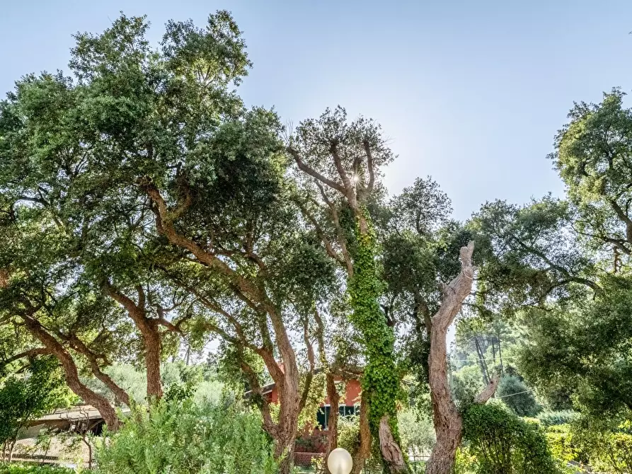 Immagine 47 di Villa in vendita  a Vicopisano