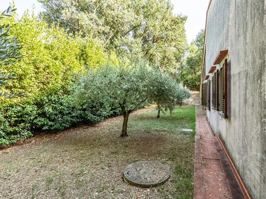Immagine 51 di Villa in vendita  a Vicopisano