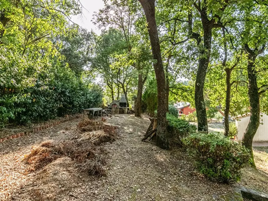 Immagine 55 di Villa in vendita  a Vicopisano