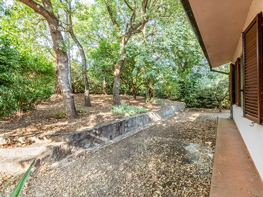 Immagine 49 di Villa in vendita  a Vicopisano