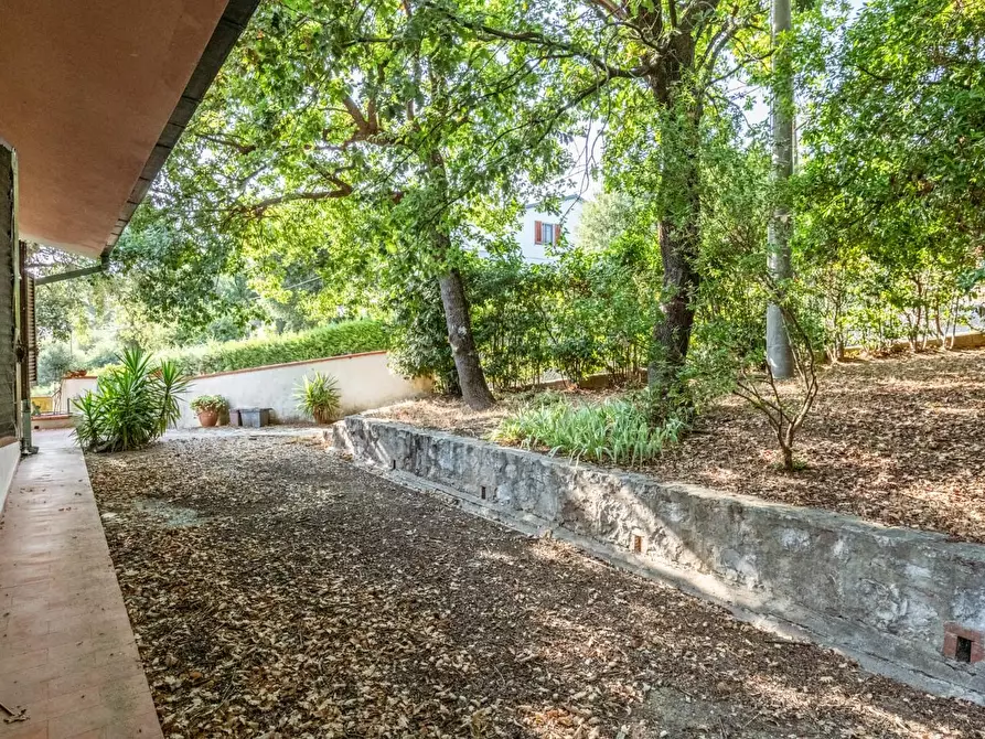 Immagine 50 di Villa in vendita  a Vicopisano