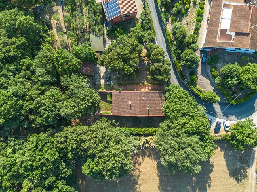 Immagine 63 di Villa in vendita  a Vicopisano