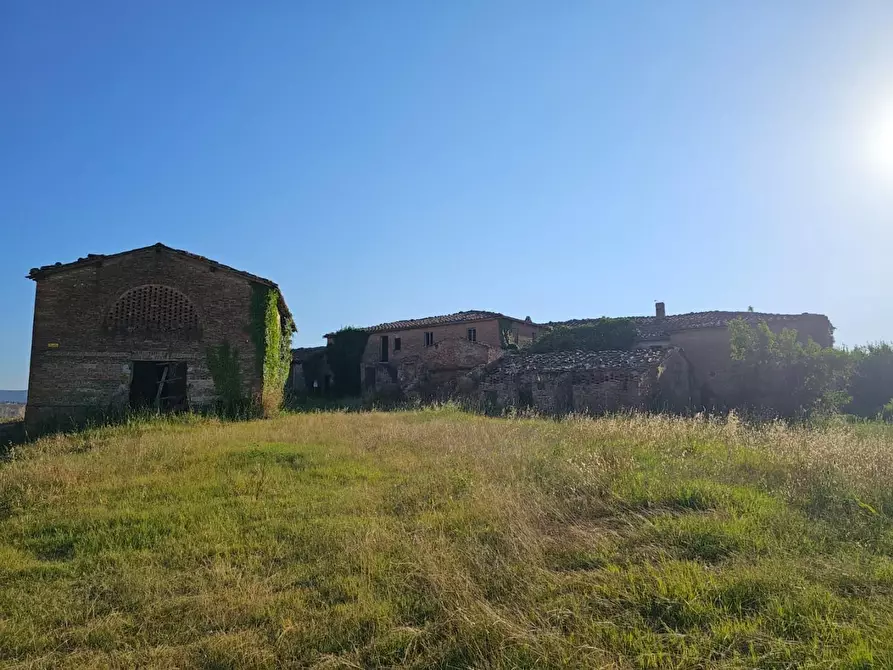 Immagine 16 di Casa colonica in vendita  a Monteroni D'arbia