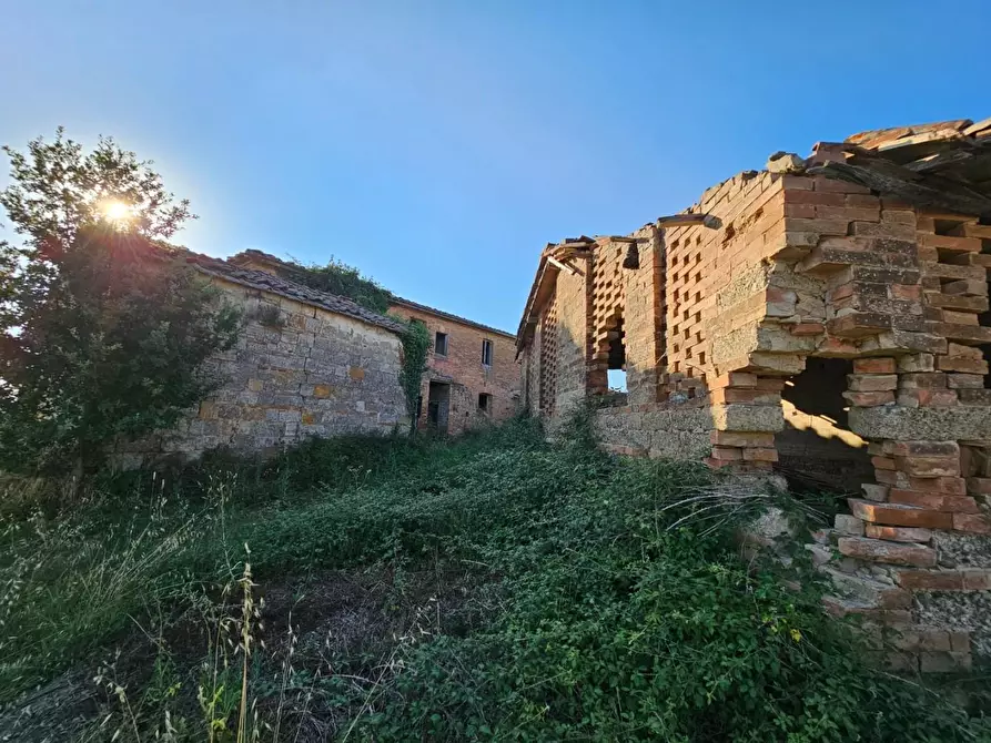 Immagine 26 di Casa colonica in vendita  a Monteroni D'arbia