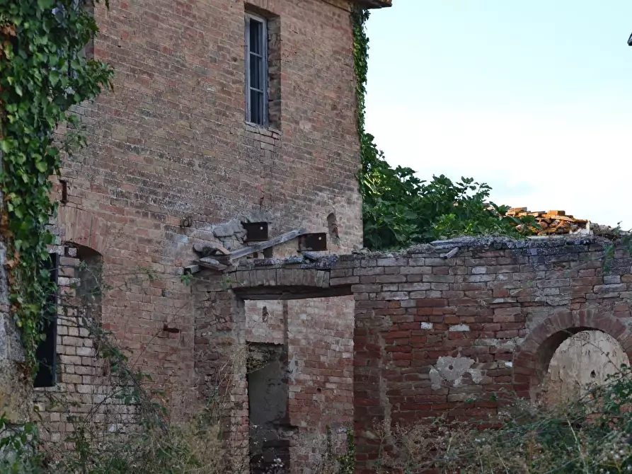 Immagine 31 di Casa colonica in vendita  a Monteroni D'arbia