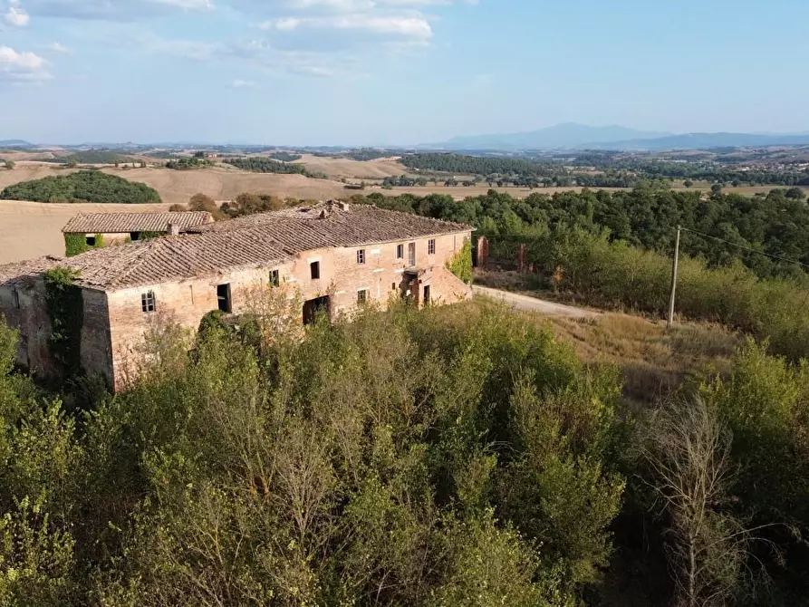 Immagine 10 di Casa colonica in vendita  a Monteroni D'arbia