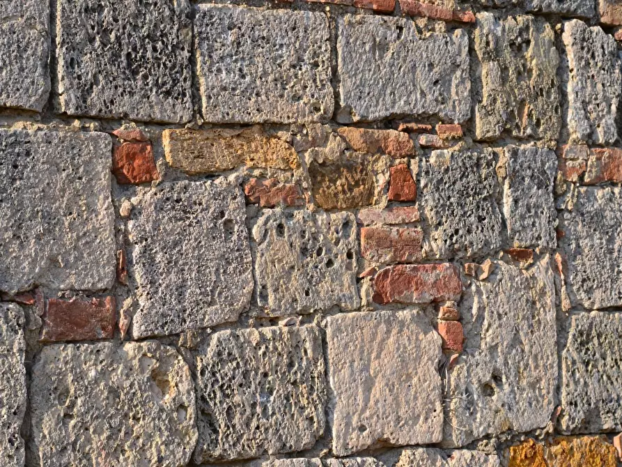 Immagine 41 di Casa colonica in vendita  a Monteroni D'arbia