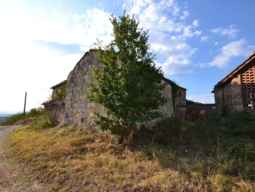 Immagine 33 di Casa colonica in vendita  a Monteroni D'arbia