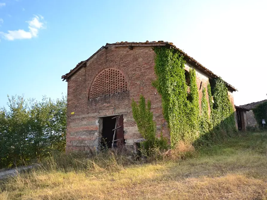 Immagine 21 di Casa colonica in vendita  a Monteroni D'arbia