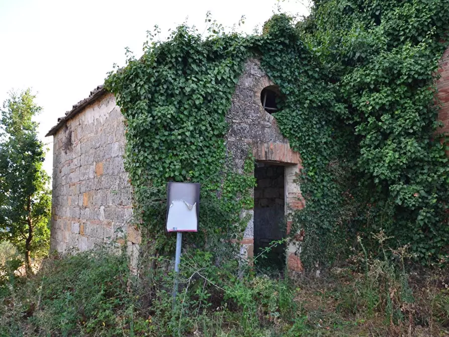 Immagine 34 di Casa colonica in vendita  a Monteroni D'arbia
