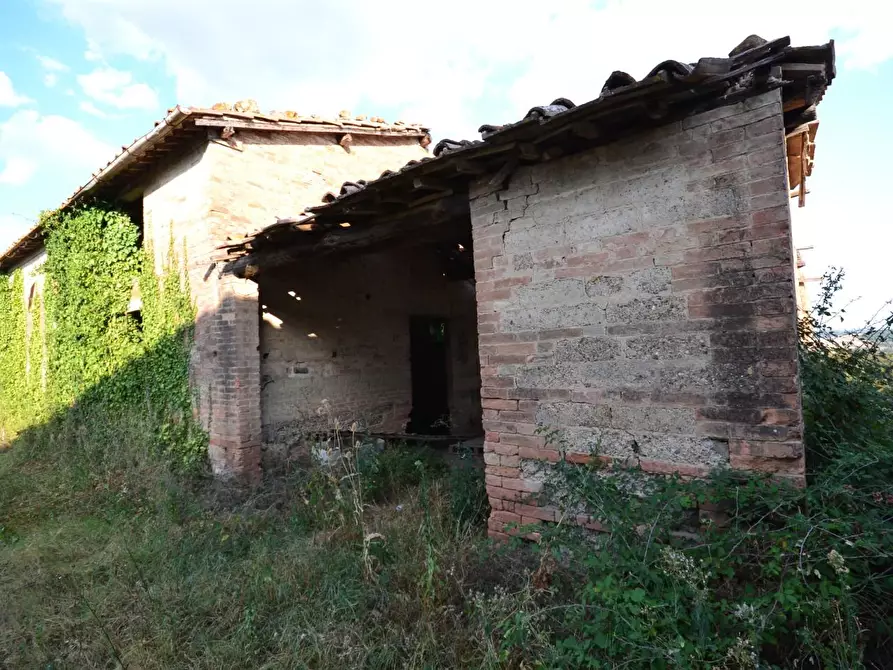 Immagine 32 di Casa colonica in vendita  a Monteroni D'arbia
