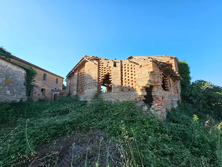 Immagine 25 di Casa colonica in vendita  a Monteroni D'arbia