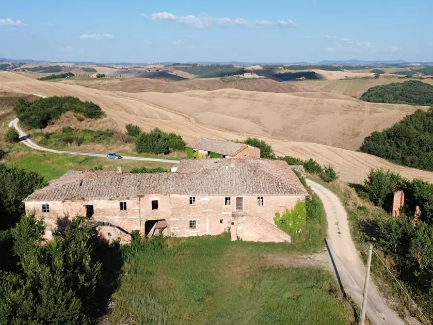 Immagine 11 di Casa colonica in vendita  a Monteroni D'arbia