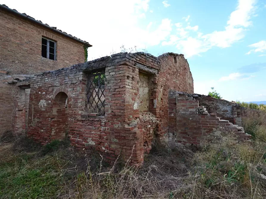 Immagine 35 di Casa colonica in vendita  a Monteroni D'arbia