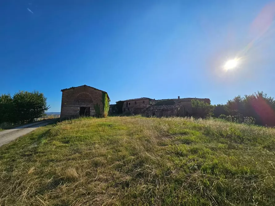 Immagine 19 di Casa colonica in vendita  a Monteroni D'arbia